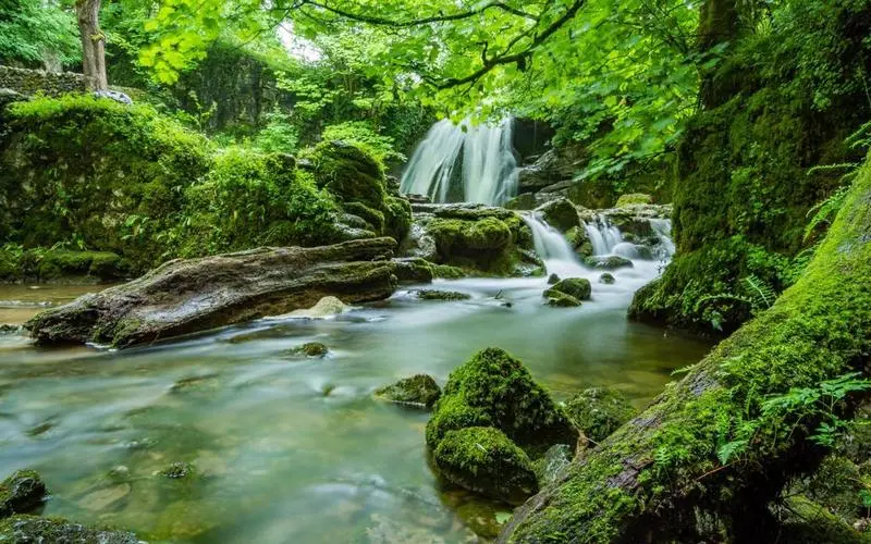 电子高性能绿色